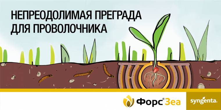 гербициды от вредителей